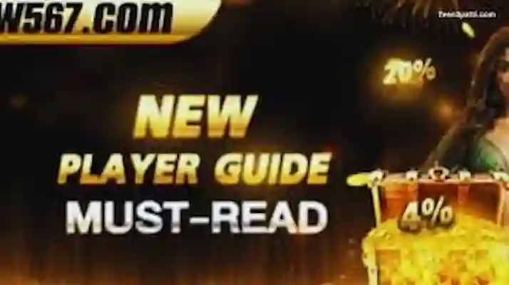 W567 Game