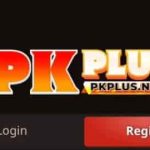 PkPlus Game